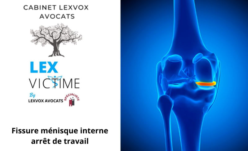 Fissure M Nisque Interne Arr T De Travail Lexvox Medical