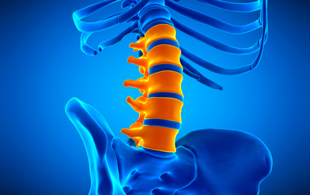 IRM sacro iliaque et rachis lombaire Lexvox Medical